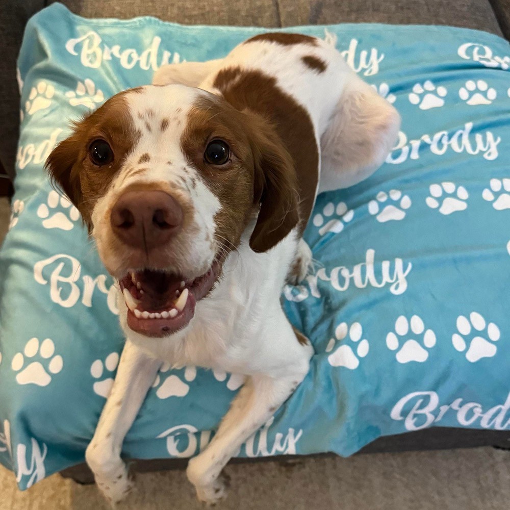 Personalised Pet Blanket with Name and Paw Print Keepsake Gifts for Pet Lovers Christmas Gift Ideas
