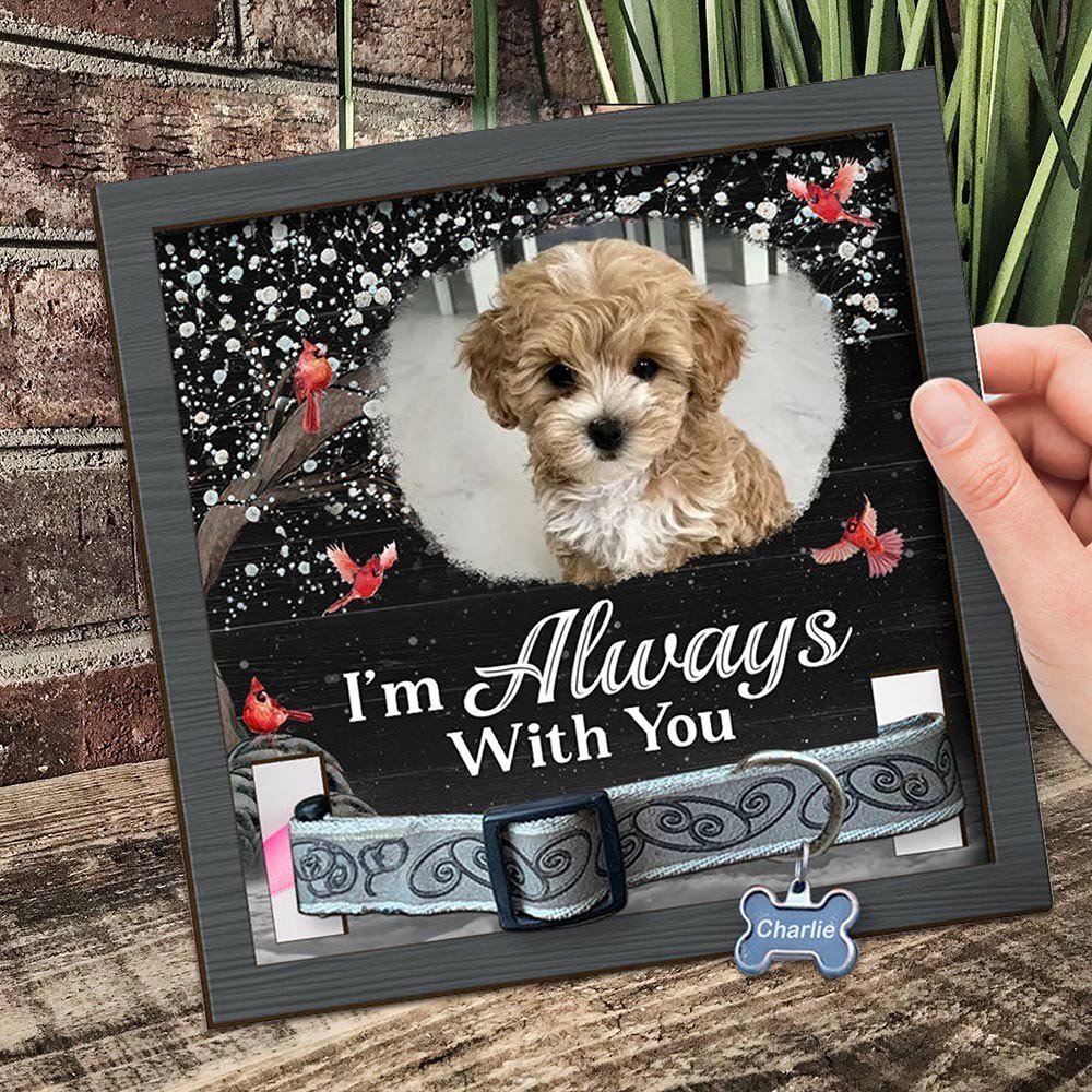 Custom I'm Always With You Dog Collar Memorial Frame for Pet Lovers Gifts for Dog Owners Sympathy Gift