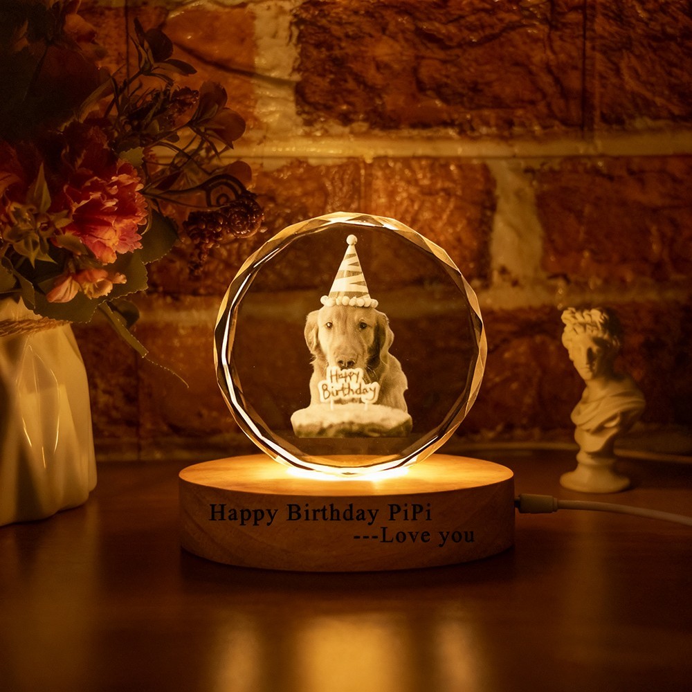 Personalised Memorial Pet Photo Portrait 3D Crystal Night Light Pet Lover Gift Pet Birthday Gifts Christmas Gift
