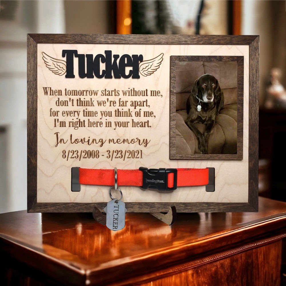 Personalised Pet Memorial Photo Frame with Collar Holder Remembrance Gift For Loss Pet