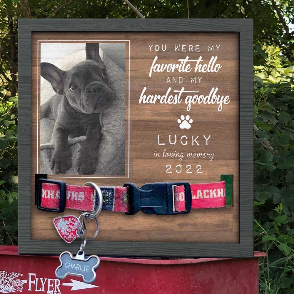 Custom Memorial Pet Collar Frame Pet Sympathy Gift Keepsake Gift for Pet Lovers