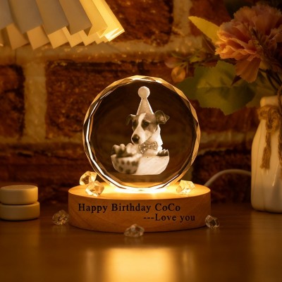 Custom Memorial Pet Photo Portrait 3D Crystal Night Light with Base Pet Birthday Gift Christmas Gifts