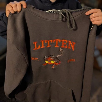 Benutzerdefinierter bestickter Cartoon, schönes Haustierportrait, Foto-Sweatshirt, Hoodie, einzigartiges Geburtstagsgeschenk für Kinder, Andenkengeschenk für Tierliebhaber