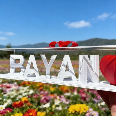 Personalisierte 3D-gedruckte Namensschilder mit optischer Täuschung für Paare – Geschenkideen zum Jahrestag und Valentinstag.