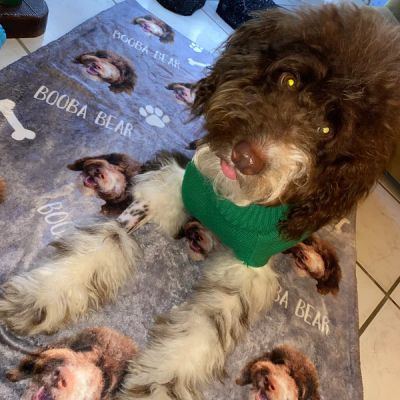 Personalisierte Haustierfotodecke mit Namen – Hundedecke als Erinnerungsstück für Haustiere – Geschenk für Hundeliebhaber – Weihnachtsgeschenk für Tierliebhaber