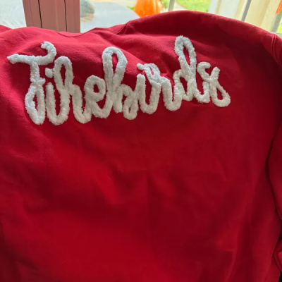 Individuell besticktes Team-Sport-Sweatshirt mit Maskottchen – Einzigartiges Geschenk für den Spieltag