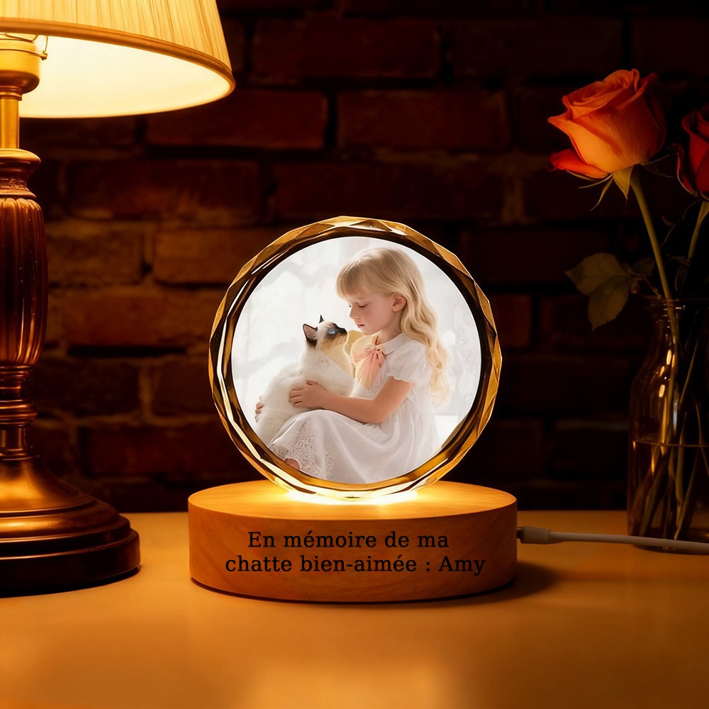 Luminaire Portrait 3D Cristal Rond d'Animal Personnalisé Cadeau Commémoratif pour Animal Cadeau de Noël Unique