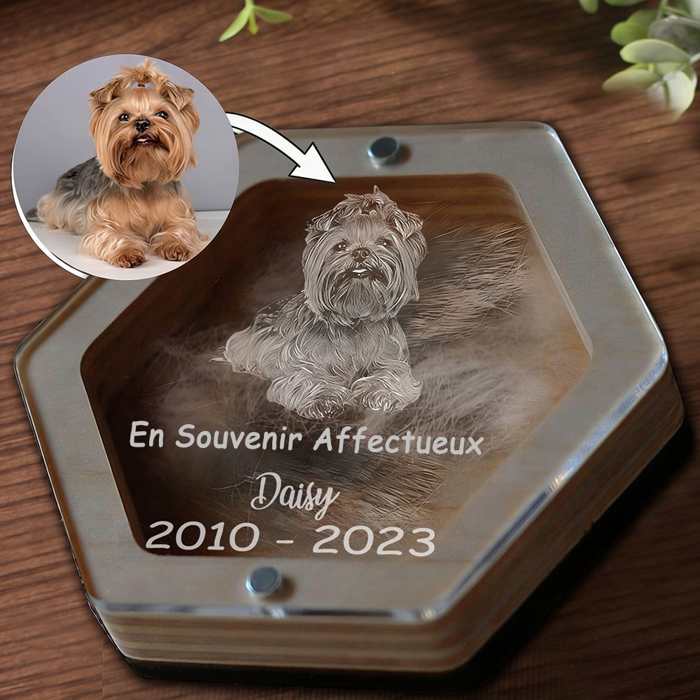 Boîte-Souvenir en Fourrure d'Animal Gravée Cadeau Commémoratif à Poils d'Animal Cadeau Unique pour Amateur d'Animaux