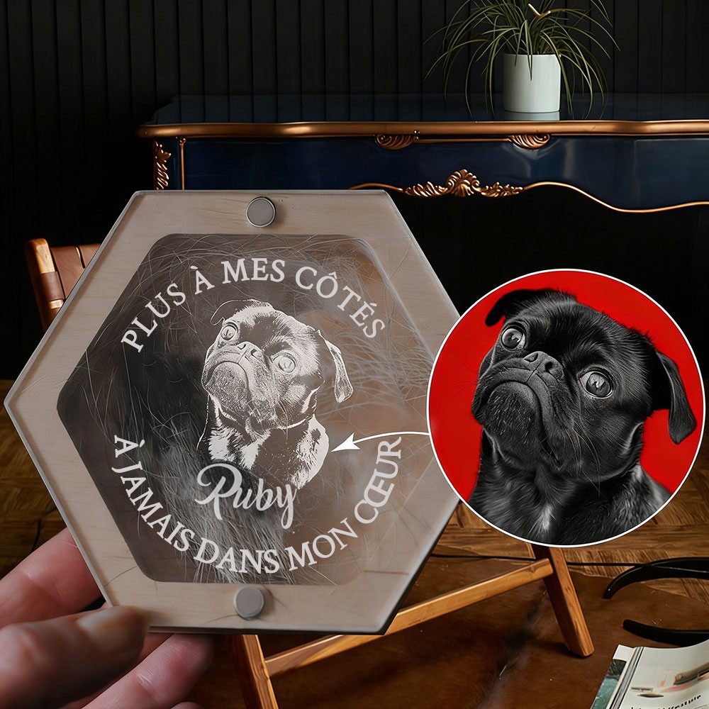 Boîte Commémorative Gravée à Poils d'Animal Pour Amateurs d'Animaux Cadeau Portrait de Chien Personnalisé