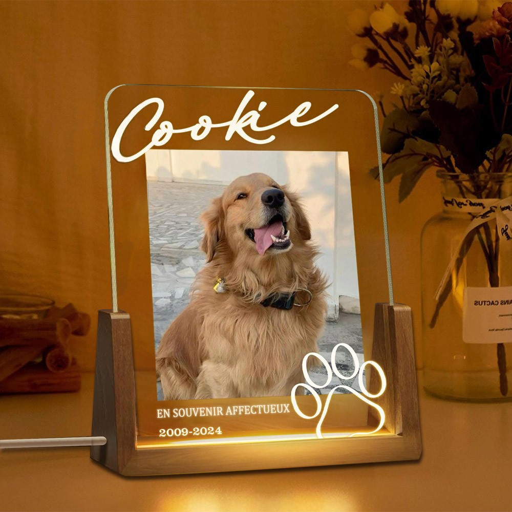 Lumière de Nuit Personnalisée avec Photo Souvenir pour Animaux de Compagnie Cadeau Souvenir pour la Perte d'un Animal de Compagnie