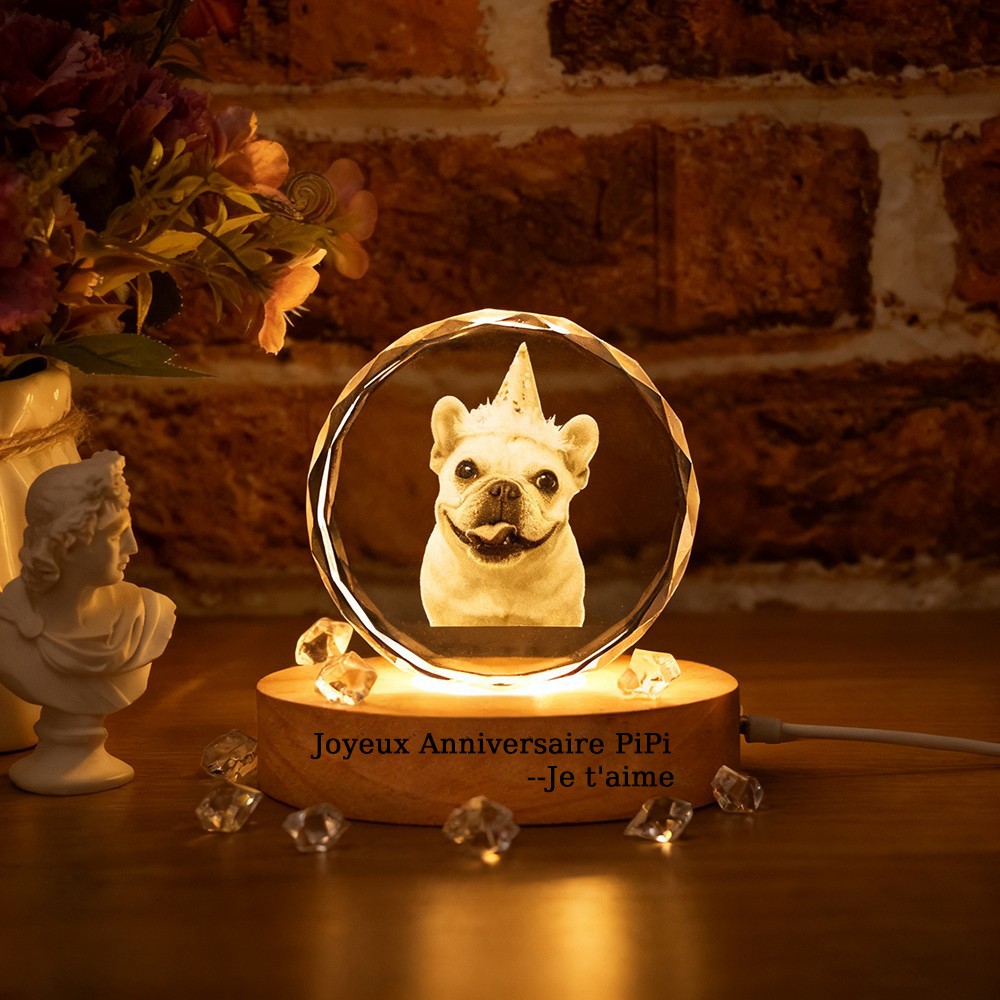 Luminaire Portrait 3D Cristal Commémoratif d'Animal Cadeau Sur Mesure pour Amateur d'Animaux Cadeau d'Anniversaire pour Animal