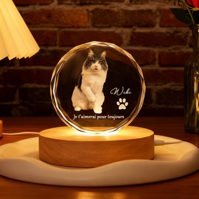 Luminaire Portrait 3D Cristal Rond d'Animal Sur Mesure Cadeaux pour Amoureux des Chats Cadeau Commémoratif pour Animal Cadeau de Noël