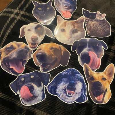 Calamite personalizzate per animali | Calamite con simpatici animali | Calamite decorative | Regali per amanti di cani e gatti | Calamite da frigorifero | Regalo di Natale per gli amanti degli animali