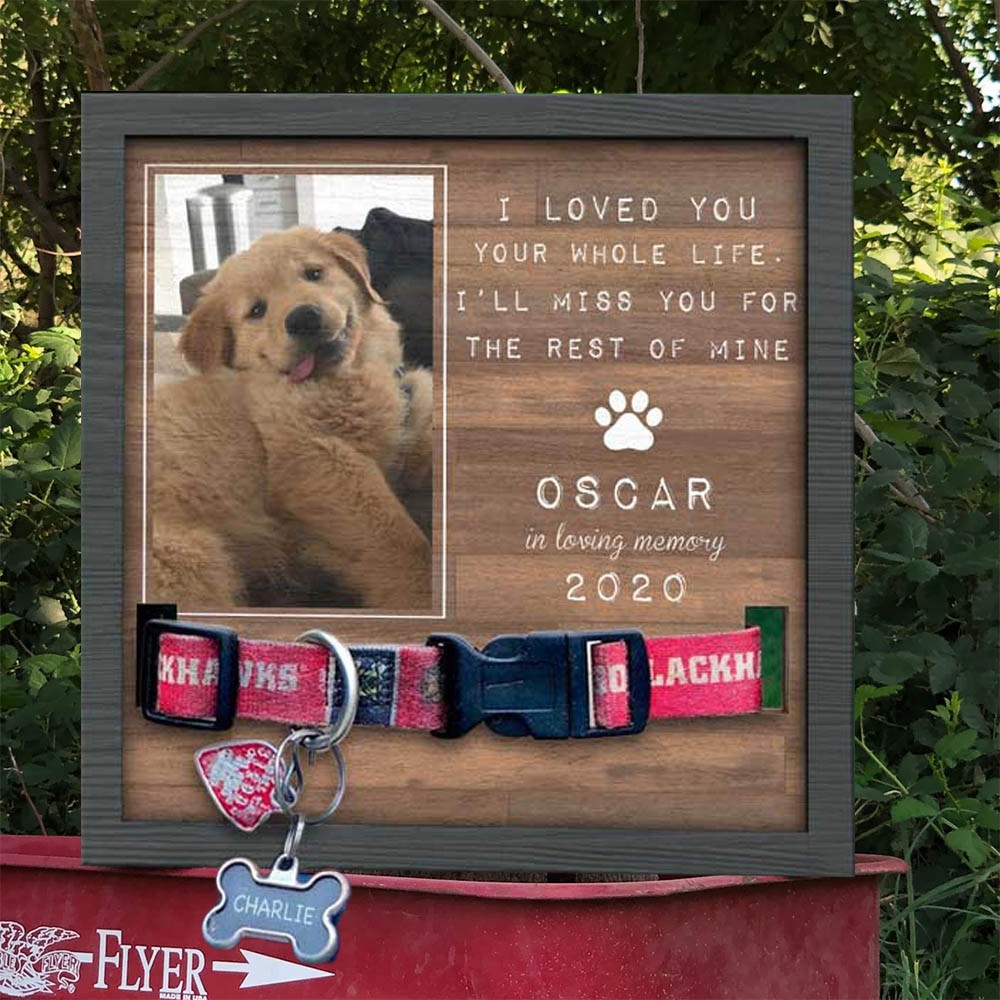Custom Dog Collar Frame Sign With Name Memorial Gift for Pet Lovers Pet Sympathy Gift