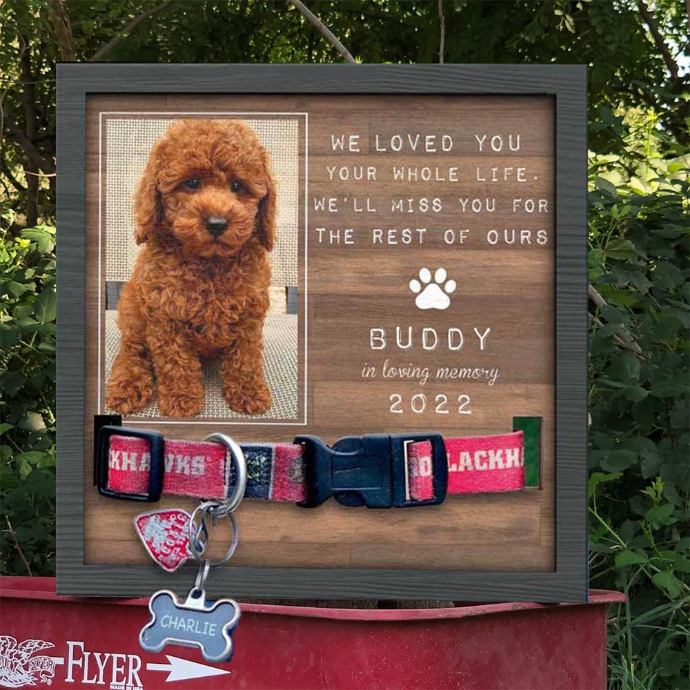 Personalized Pet Collar Frame With Name Custom Wood Sign Gift for Pet Lovers Pet Loss Gift