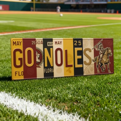 GO NOLES License Plate Sign Vintage Wall Art Dorm & Game Day Decor Christmas Gift