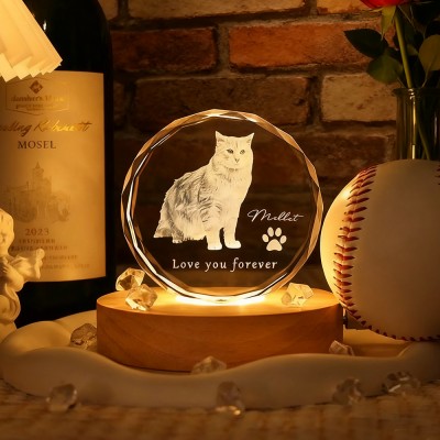 Custom Round 3D Crystal Pet Photo Portrait Night Light Gifts for Cat Lover Pet Memorial Gift Christmas Gift