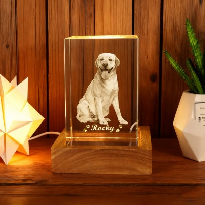 Personalized 3D Crystal Pet Photo Portrait Night Light with Base Gifts for Dog Owners Pet Lover Gift Christmas Gift