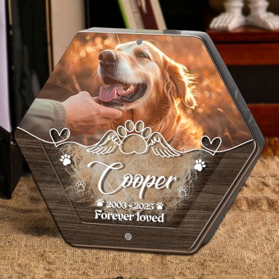Custom Pet Hair Storage Box with Photo and Name Pet Fur Keepsake Box Unique Gift for Pet Lovers Pet Memorial Gift