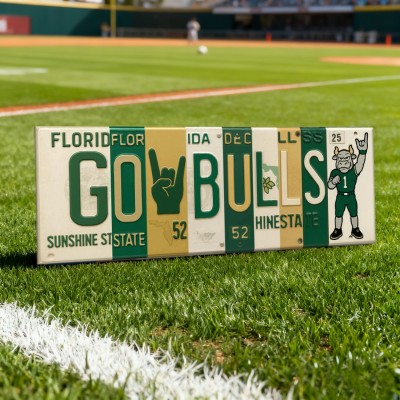 GO BULLS License Plate Sign South Florida College Wall Art Dorm & Game Day Decor Christmas Gift