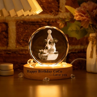 Custom Memorial Pet Photo Portrait 3D Crystal Night Light with Base Pet Birthday Gift Christmas Gifts