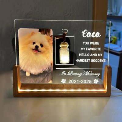Custom Pet Photo Night Light with Pet Fur Jar Pet Memorial Gifts Dog Loss Gift