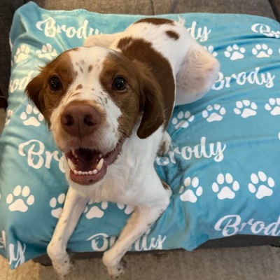 Personalized Pet Blanket with Name and Paw Print Keepsake Gifts for Pet Lovers Christmas Gift Ideas