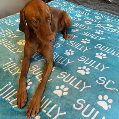 Custom Pet Blanket Dog Name Blanket Gifts for Dog Lover Pet Memorial Gift Christmas Gift Ideas