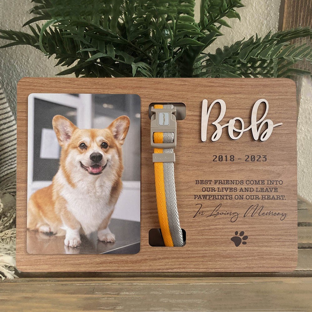 Aangepast herdenkingsbord voor huisdierenhalsband als aandenken voor dierenliefhebbers, cadeau voor verlies van hond