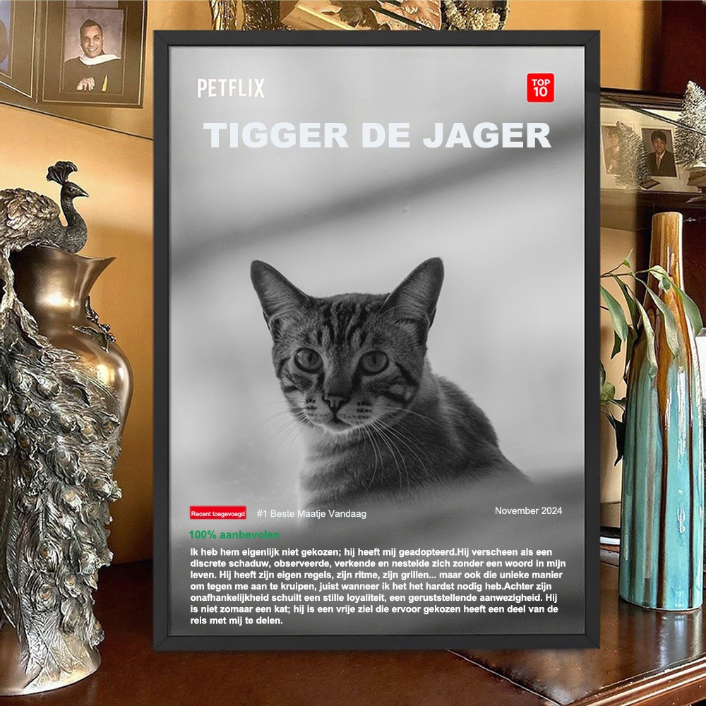 Gepersonaliseerde Netflix-huisdierenposter. Een uniek, oprecht cadeau voor dierenliefhebbers. Een familieaandenken voor vrienden. Een verjaardagscadeau voor huisdieren.