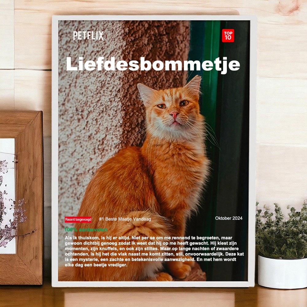 Gepersonaliseerde Netflix-poster met een afbeelding van een kat. Uniek cadeau voor dierenliefhebbers. Verjaardagscadeau voor kinderen. Familiecadeau voor dierenliefhebbers.
