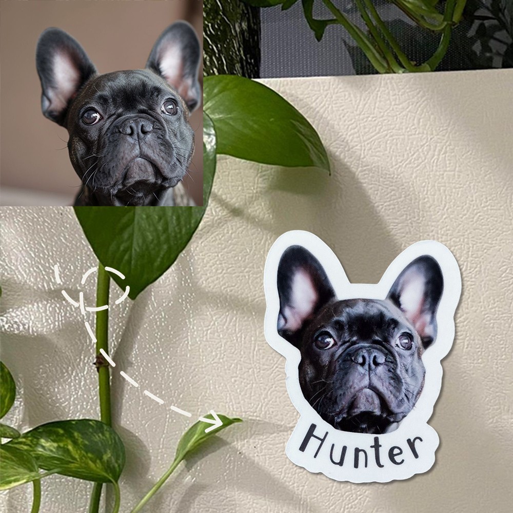 Custom Die Cut Pet  Fridge Magnets Personalised Family Photo Magnets Unique Decorative Printing Gift For Dog Cat Lover