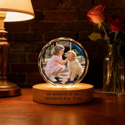 Custom 3D Crystal Pet Photo Portrait Night Light with Base Gifts for Dog Owners Pet Loss Gift Christmas Gift