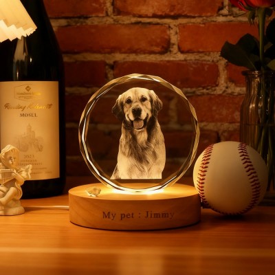 Personalised 3D Crystal Pet Photo Portrait Night Light with Base Gifts for Dog Owners Pet Lover Gift Christmas Gift