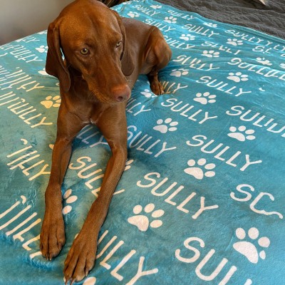 Custom Pet Blanket Dog Name Blanket Gifts for Dog Lover Pet Memorial Gift Christmas Gift Ideas