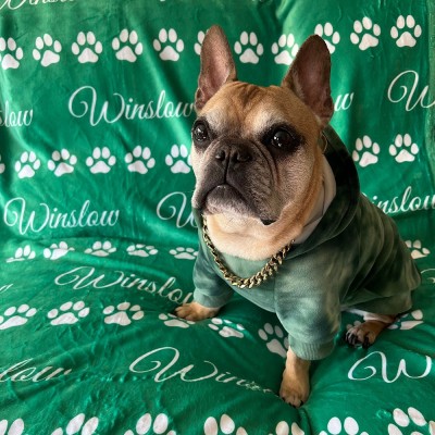 Custom Dog Name Blanket Pet Lover Gift Memorial Gift for Dog Lovers Christmas Gift