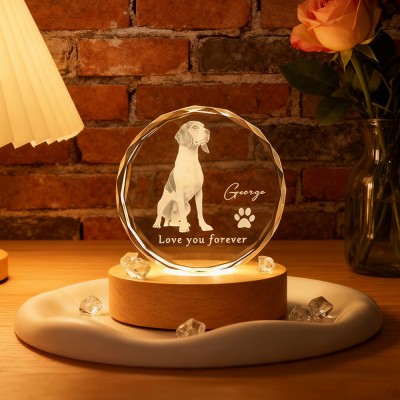 Personalised Round 3D Crystal Pet Photo Portrait Night Light Pet Lover Gift Loss of Dog Gift Christmas Gifts